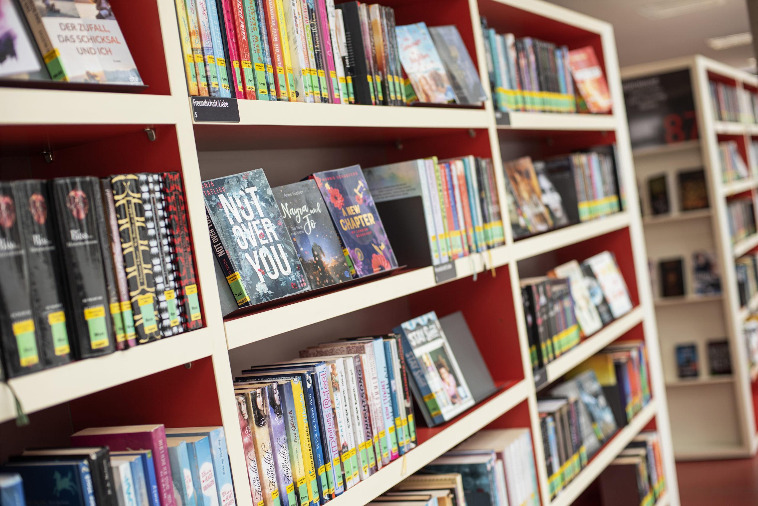 Mediotheksleiterin Evelyn Buchholtz und der Vorstand der Freunde und Förderer der Mediothek erklären den Wert des Lesens und wie sie dabei helfen, ihn zu erhalten.